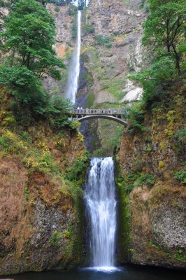 Oregon - Multanomah Falls - Cream Puff - Life's Sweet Treat Cream Puff ...