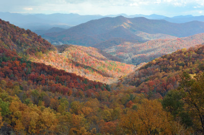 Nantahala National Forest - Cream Puff - Life's Sweet Treat Cream Puff ...