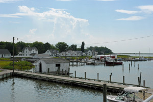 Smith Island and Cake - Cream Puff - Life's Sweet Treat