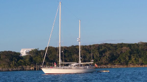 Good Bye Abaco Islands - Cream Puff - Life's Sweet Treat