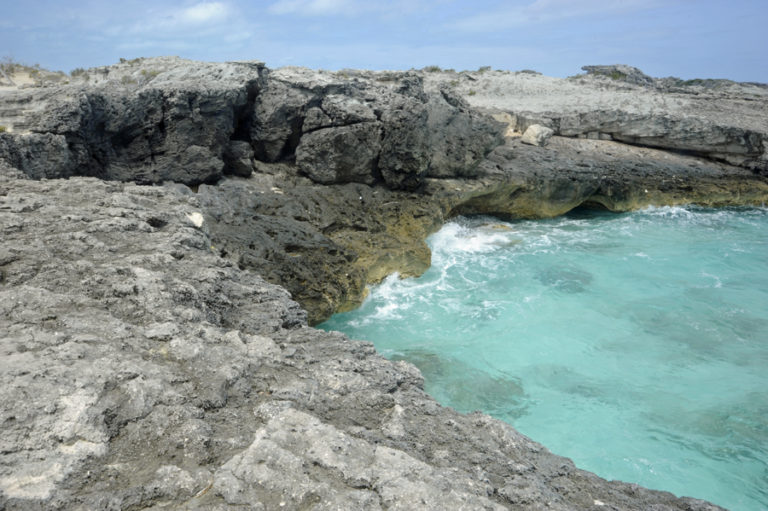 Waves push into the caves - Cream Puff - Life's Sweet Treat Cream Puff ...