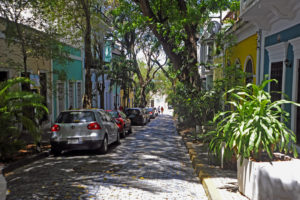 Old San Juan - Cream Puff - Life's Sweet Treat