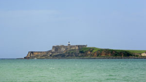 Old San Juan - Cream Puff - Life's Sweet Treat