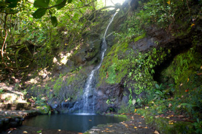 roadside waterfall - Cream Puff - Life's Sweet Treat Cream Puff – Life ...