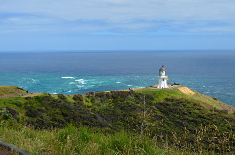 Cape Reinga Lighthouse - Cream Puff - Life's Sweet Treat Cream Puff 